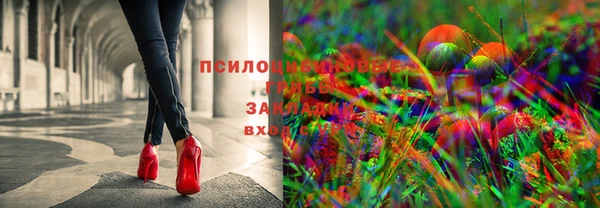 каннабис Алексеевка