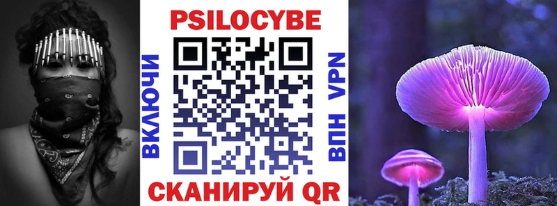 купить наркотики цена Бикин Псилоцибиновые грибы Magic Shrooms
